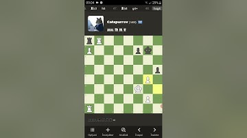 I beat Catspurrov bot at chess.com! The game+analyze.#chesscom#chessbots