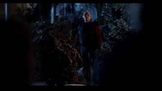 Hey Griswold, where you gonna put a tree that big?
