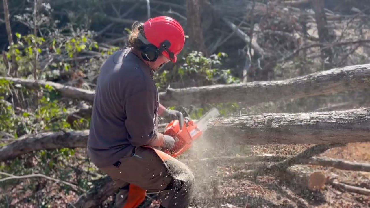 Hickory Nut Gorge Workday