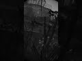 #fyp #dayz #gaming #xbox