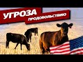 Китайские фирмы скупают сельскохозяйственные угодья в США