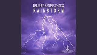 Relaxing Rainstorm, Pt. 14