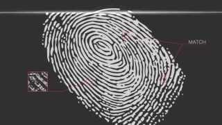 Bionic Identity Intro (Spanish | Espanol)
