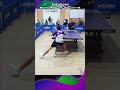 Fast Backhand Straight to Point #卓球 #탁구 #乒乓球 #pingpong #sports #tabletennis #shorts