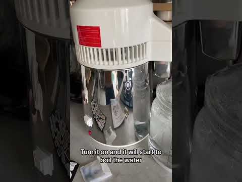 Video: Watter distilleerdery maak basiliekruid hayden?