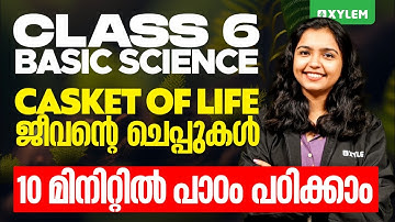 Class 6 Basic Science | Unit: Caskets of Life - ജീവന്റെ ചെപ്പുകൾ - 10 മിനിറ്റിൽ പാഠം പഠിക്കാം