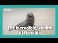 Namibia: A breathtaking nature | WIDE