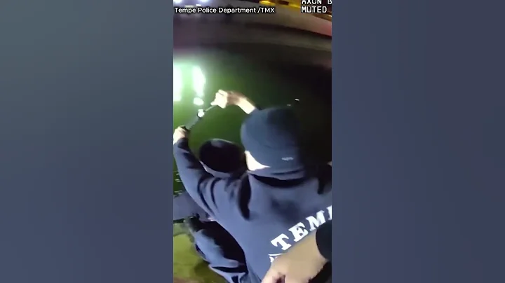 Dog rescued from canal by first responders in Arizona