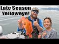 Late Season Combo Day - Yelloweye Catch and Release! Alaskan Halibut Fishing | Juneau, Alaska!