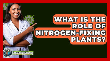 What Is The Role Of Nitrogen-Fixing Plants? - Earth Science Answers