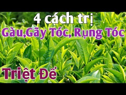 4 Cách Trị Gàu Triệt Để . PHAN HẢI Channel