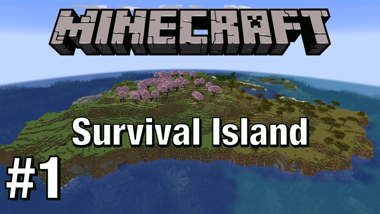 Building my House | Minecraft Survival Island #1 - YouTube