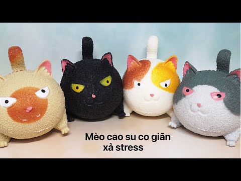 Video Mèo silicon cute giảm stress, mèo giận dữ siêu hài... - youtube