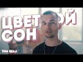 Тим Белл - Цветной Сон (Премьера клипа, 2019)