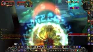 Pally Solo 10Man HM General Vezax