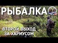 РЫБАЛКА / ЛЕТО 2017 / ЛОВИМ ХАРИУСА / ИЩЕМ БЛЕСНА / БРАТЬЯ ПРИХОДЬКО