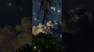 Download Mp3 Rembulan malam Gudang lagu Download Mp3 Rembulan malam