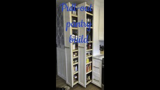 Kitchen Remodel (Pull Out Pantry)