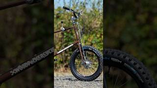 A Kooky Mini Velo!!!