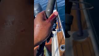 Who Said Hooking Mahi Was Difficult?