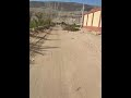 شاهد ما وجدنا في قمه جبل الغنايم بمحافظه اسيوط الصعيد الجواني شاهد ما وجدنا في قمه جبل الغنايم بمحافظه اسيوط الصعيد الجواني