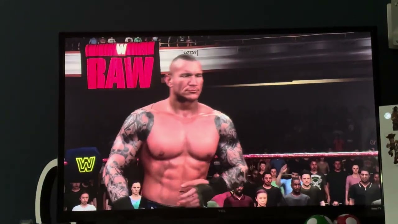 Playing WWE In A Tag Team Match As Randy Orton And CM Punk Against The Uso Brothers.