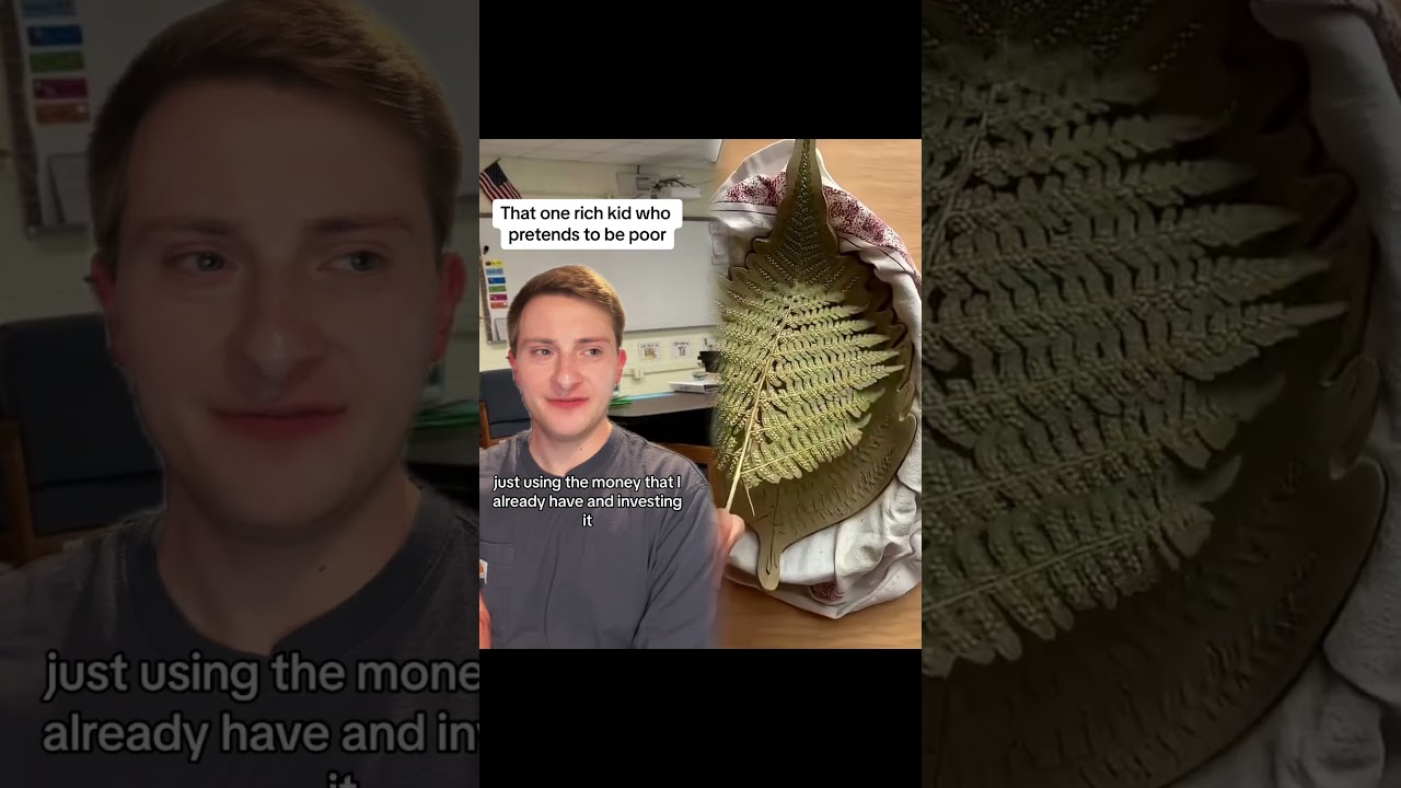 That one rich kid who pretends to be poor #greenscreen #middleschool #school #nostalgia #pov #fypシ゚