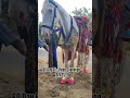 Epoxy Sample Work ।। 60 Day 60+ Video day 31 #vlog #shorts #trendingshorts #epoxy