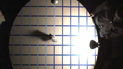 Stochastic Extremum Seeking Experiment