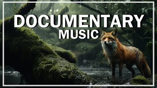 Alec Koff - Documentary / Soft background music / smooth background music screenshot 5