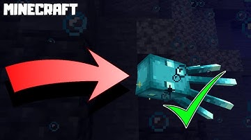 MINECRAFT | How to Find GLOW SQUIDS! 1.17