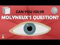 Molyneux's Question - Can It Be Solved?
