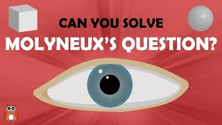 Molyneux's Question  Can It Be Solved?