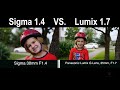 ★★★★★ Sigma 30mm F1.4 DC DN Lens vs Lumix 25m 1.7 (Micro 4/3) on Panasonic GH5 - Examples