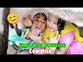 Small boy drinking cow milk  village life cow milking  jaya ghosh