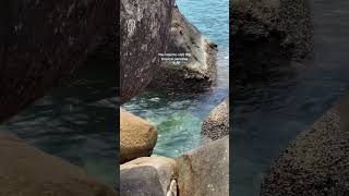 A visit to Fitzroy Island should be on everyone’s list 😍