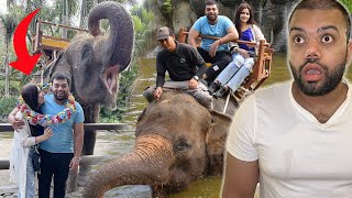 Elephant Ne Humein Shadi Ka Haar Pehna Diya 😍 | Scary Elephant Ride In Water 😱