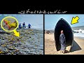 8 Most Unusual Things Found On Beach | سمندر کے کنارے ملنے والی عجیب چیزیں | Haider Tv