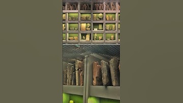 Librarian Day – April 16th – Part 1