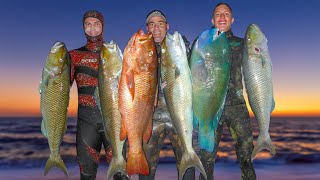 What is spearfishing? With the AUSTRALIAN CHAMPION!