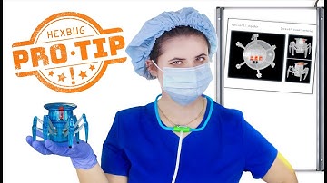 HEXBUG Pro Tips - How to Change your Spider