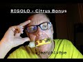 Rigolo  citrus bonus  la compagnie des liquides  vape  eliquide  jeanphivape  fr  