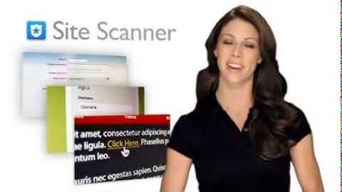 Website Security & Protection by WebMusketeer.com