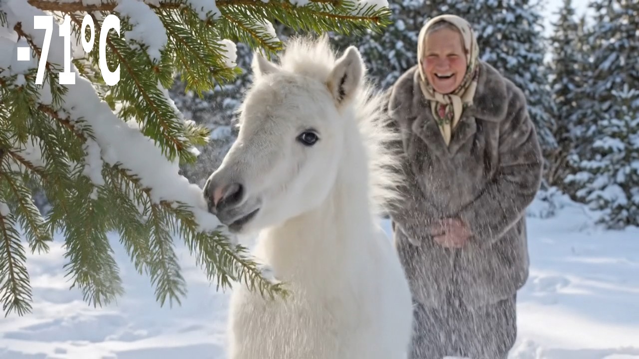 🐴 A Wild Horse Brought Her Sick Foal to This 80-Year-Old Woman’s Door in −71°C Siberia
