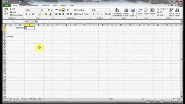 Excel 2010 Beginner: Unit 2 Lesson A - Entering Data