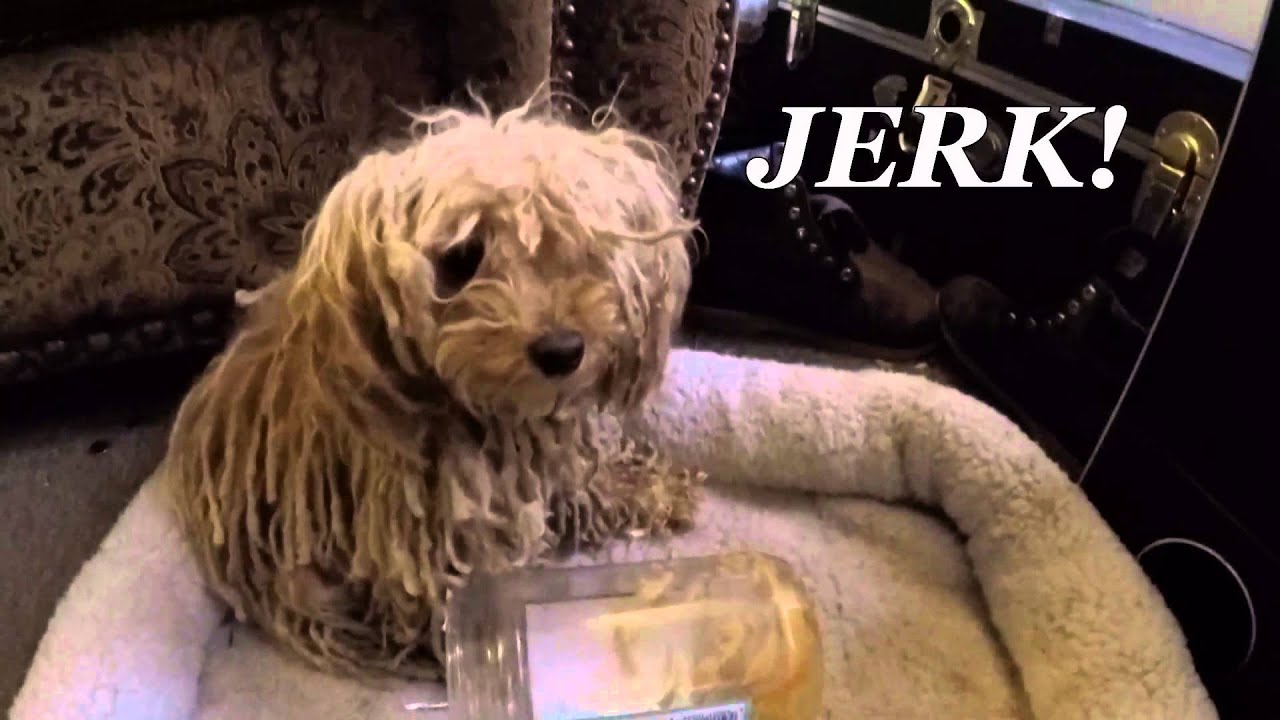 Peanut Butter Face! YouTube