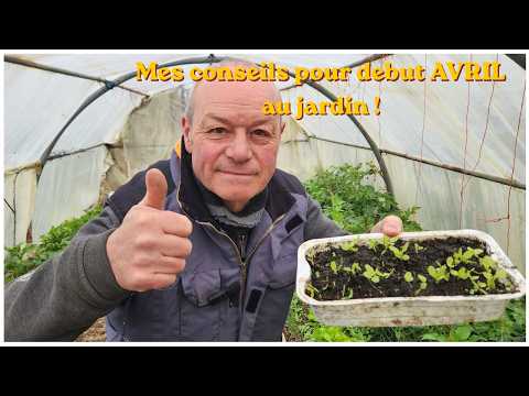 Le live de 19h le 30 mars le prochain semis de laitues !