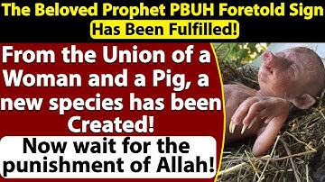 The World Is Shocked – A Hybrid Creation No One Expected!