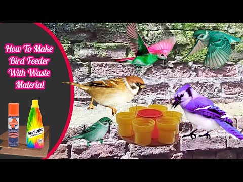 How To Make A Bird Feeder With Waste Material || Unique Bird Feeder Making Idea @UJANCREATIONS