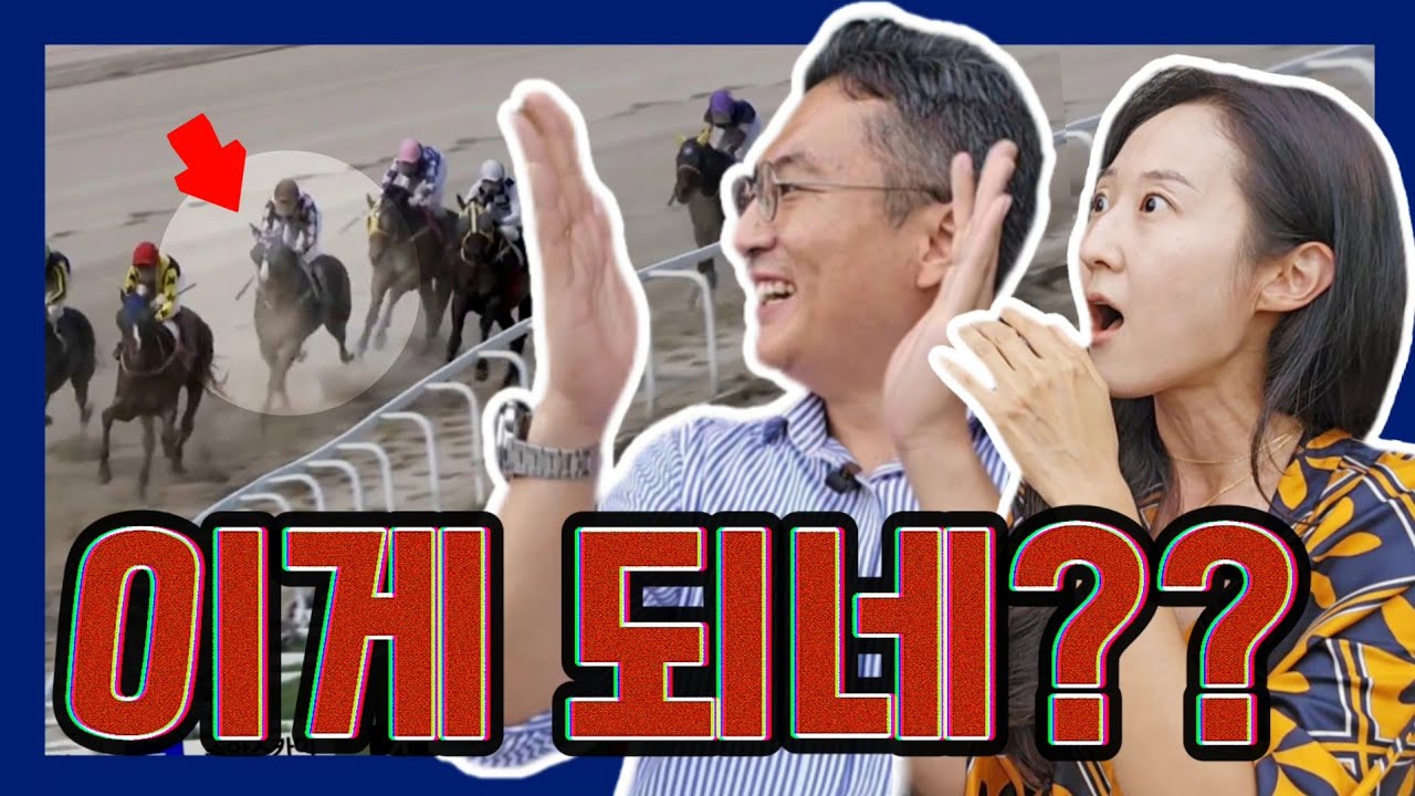 게이트 열렸는데 한 템포 쉬었다 나오는 말.. 그러나 끝은?! 동착으로 입상 거머쥔 스톰크라운의 다섯번째 경주
